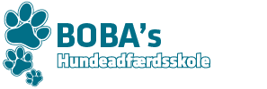 logo_bobas